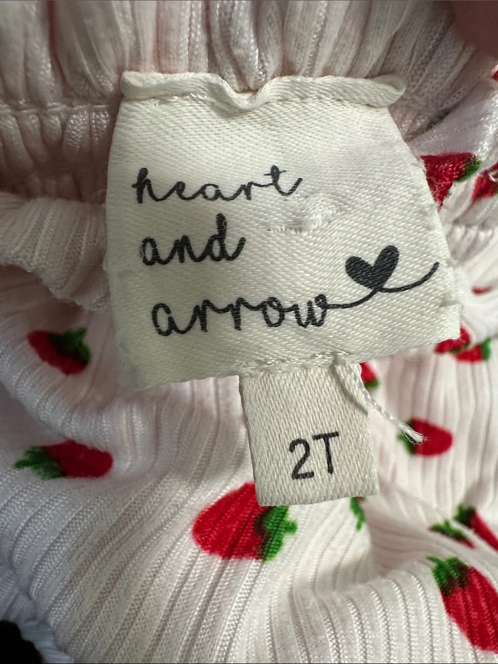 🪎 Heart and Arrow Strawberry Print Set Size 2T